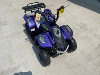 Load image into Gallery viewer, TAO Rock 110 Purple #8011
