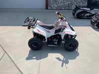 Load image into Gallery viewer, TAO Rock 110 Pink/White  #8012
