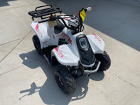 Load image into Gallery viewer, TAO Rock 110 Pink/White  #8012
