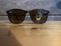 Load image into Gallery viewer, RB4374 HAVANA W/BROWN SUNGLASSES
